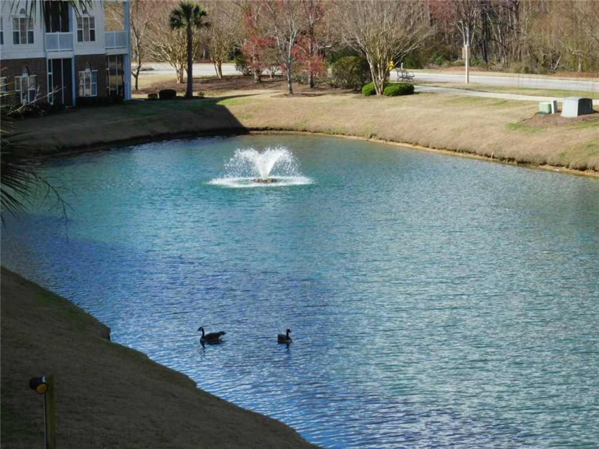 River Crossing Apartment Briarcliffe Acres Exterior foto